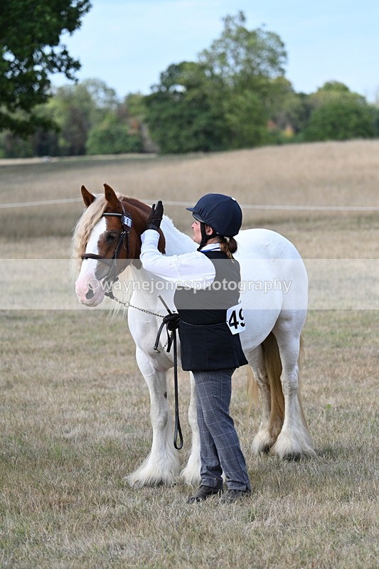 WJ7_8346 - In-hand Championship