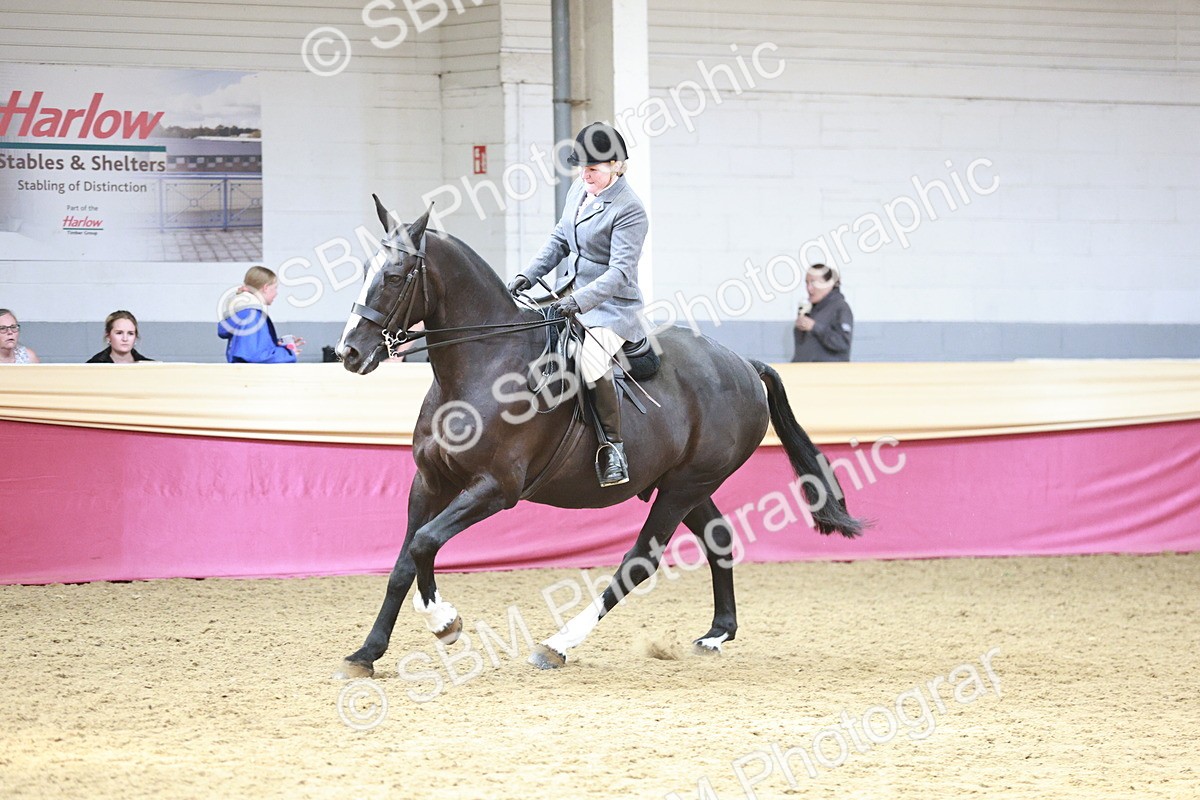 SBM_08315 - Class 11R - Regional Ridden Veteran