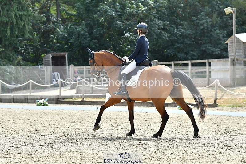 260802A-153430-07503 - Intermediate Bronze