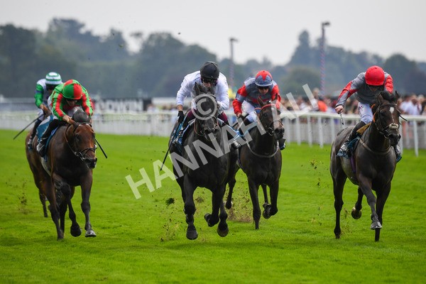 100923-Race 2-Florida-0512 - Race 2 2.15pm John And Judith Marshall Memorial Handicap
