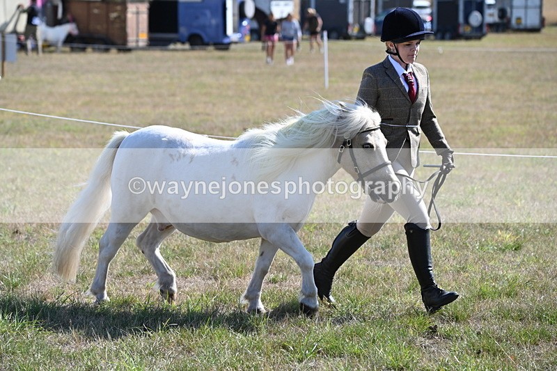 WJ6_4196 - Class 16 Condition & Turn Out