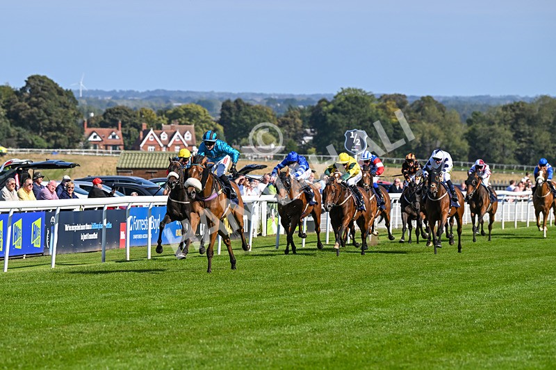 180924-Race 1-Tees George-3679 - Race 1