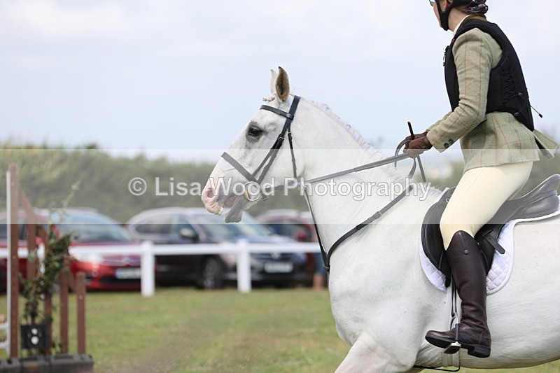 JPP_2082 - Class 19: Working Hunter 60cm