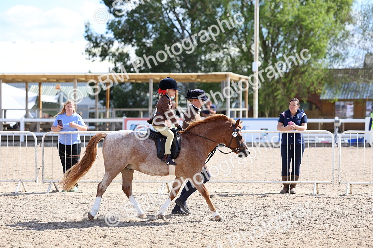SBM_13024 - Class 309 - Lead Rein Pony