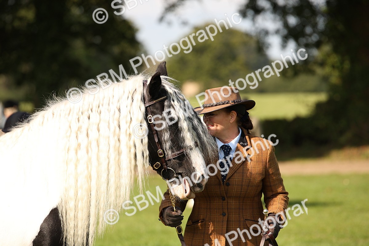 SBM_62263 - S55 - Traditional Cob In Hand