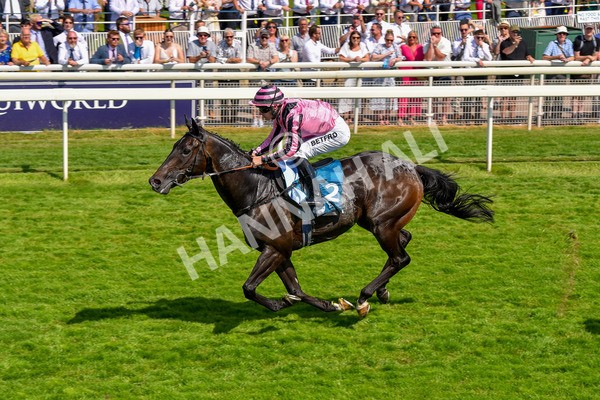 160623-Race 4-Chichester-6343 - Race 4 3.35pm Seat Unique Ganton Stakes