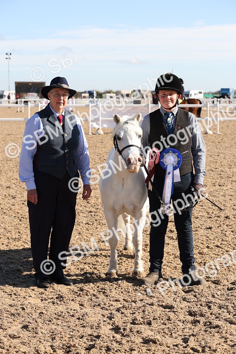 SBM_11771 - Class 204 - Young Handler 11 to 16 years