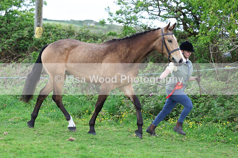 3E7A0833 - In Hand Championship