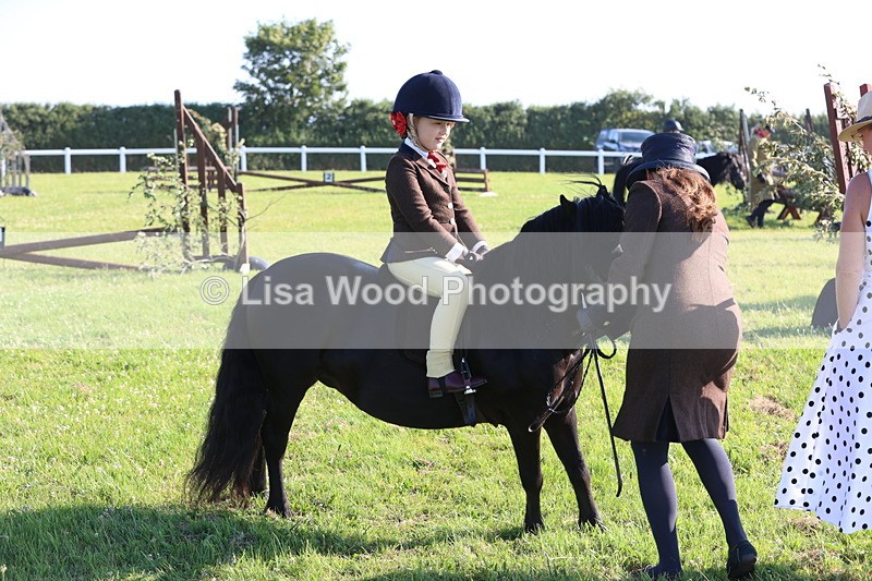 JPP_0832 - Class 16: Cornish Combination Leading Rein