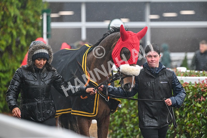 141125-Race 1-Marlacoo-8836 - Race 1