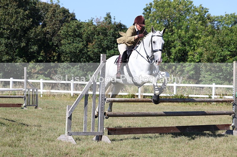3E7A5850 - Class 5: Working Hunter 90cm