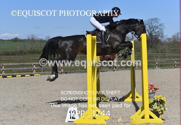 BPP_3244 - CLASS 15 Senior Foxhunter/ 1.20m Open