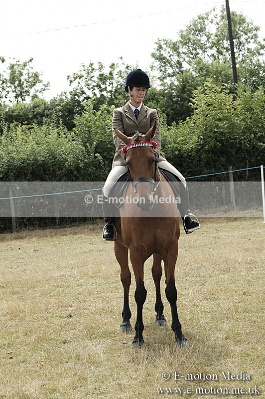 _PJP6069 - BVRC Show 2018 Ring 1