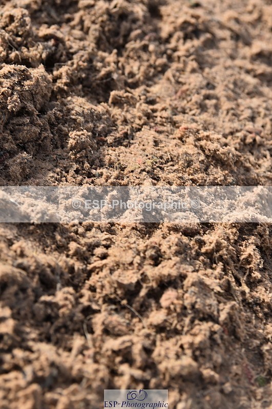 231028A-105602-00635 - Cls 2 British Novice & 80cm Open