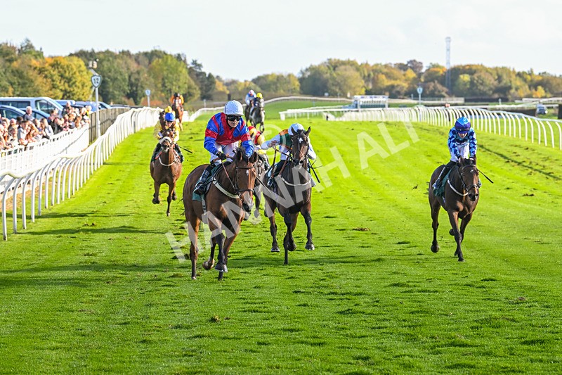 191024-Race 4-Three Dons-4299 - Race 4