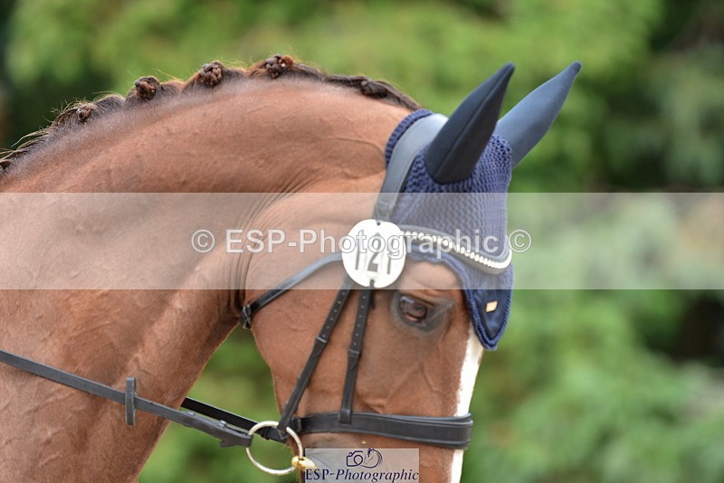 250719A-151250-06707 - 121-Florence.Marsh-Shannondale.Thelma