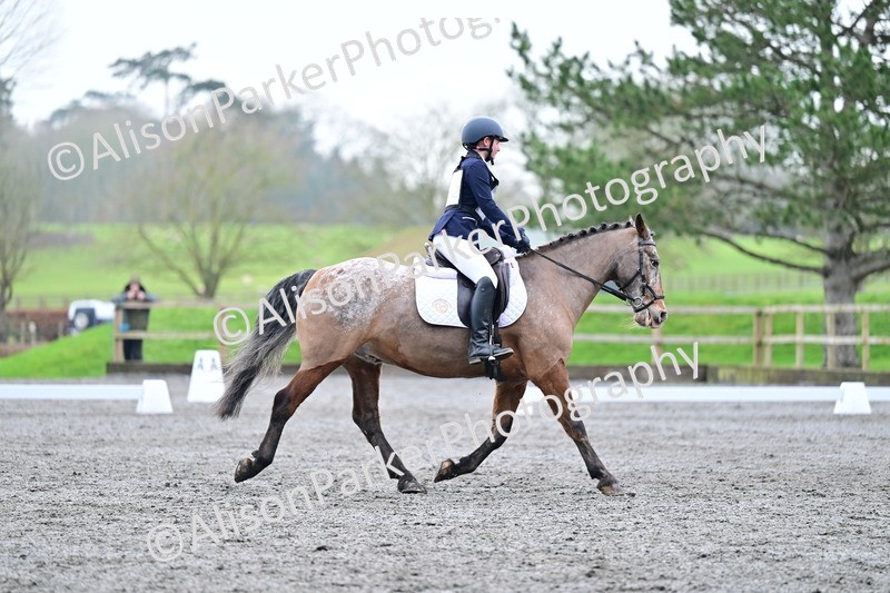 20260125-3678 - Class 12 - Novice