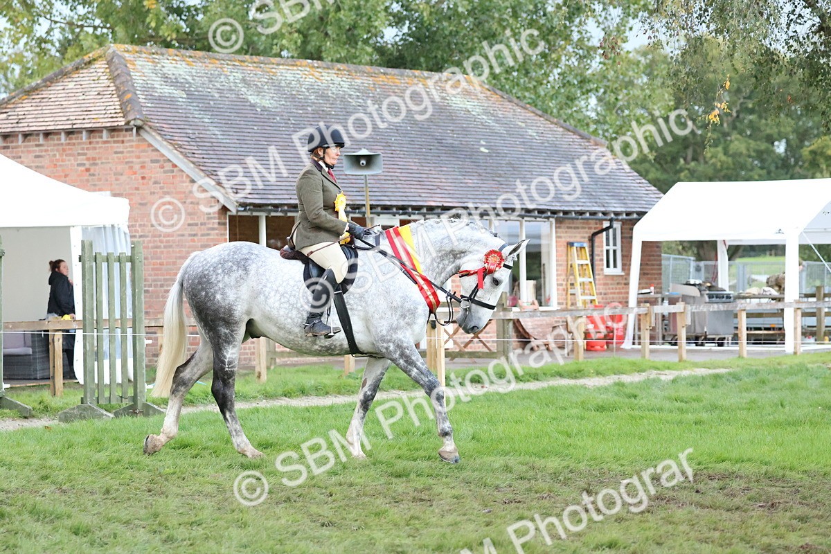 SBM_53395 - Super Supreme Championship (Sat)