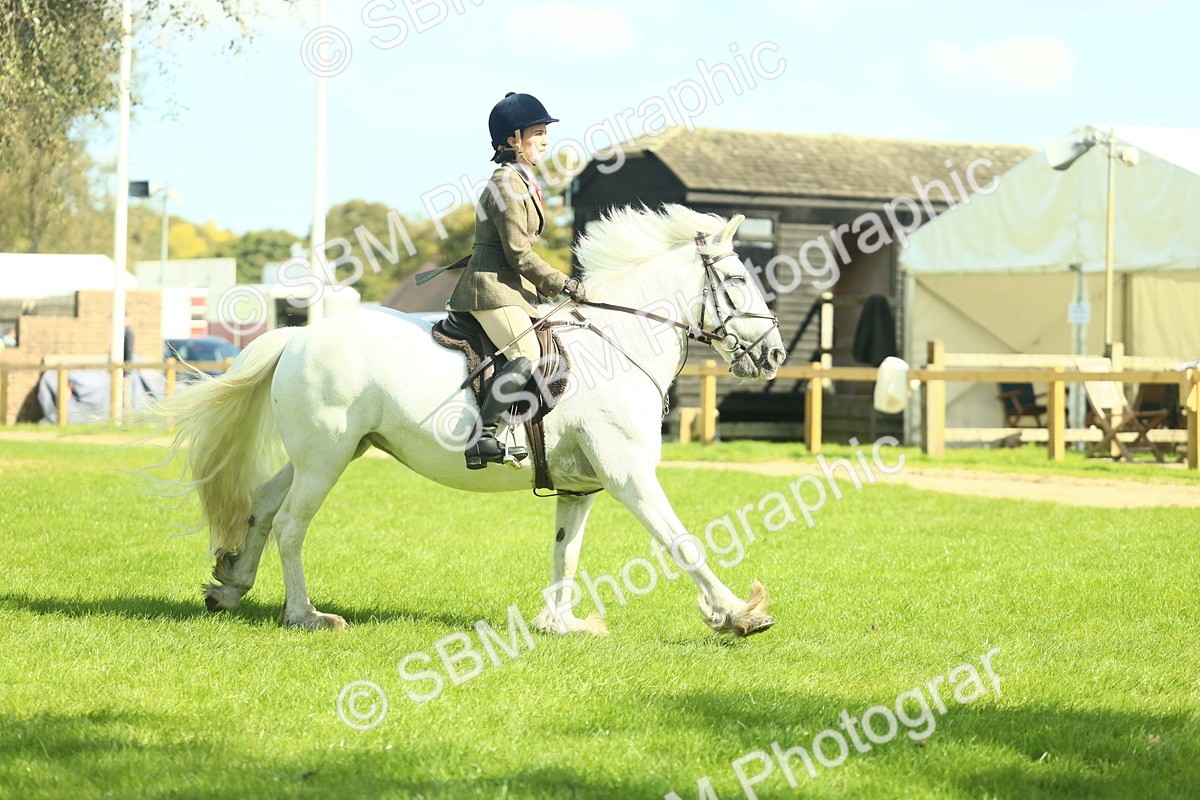 SBM_41981 - S29 - Novice & Newcomers Working Hunter Pony