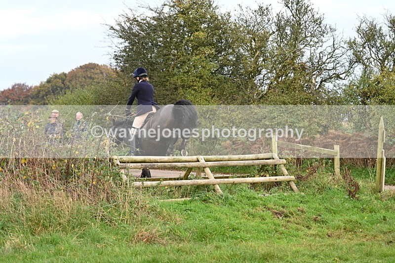WJ7_0392 - Camera 1 & Last fence