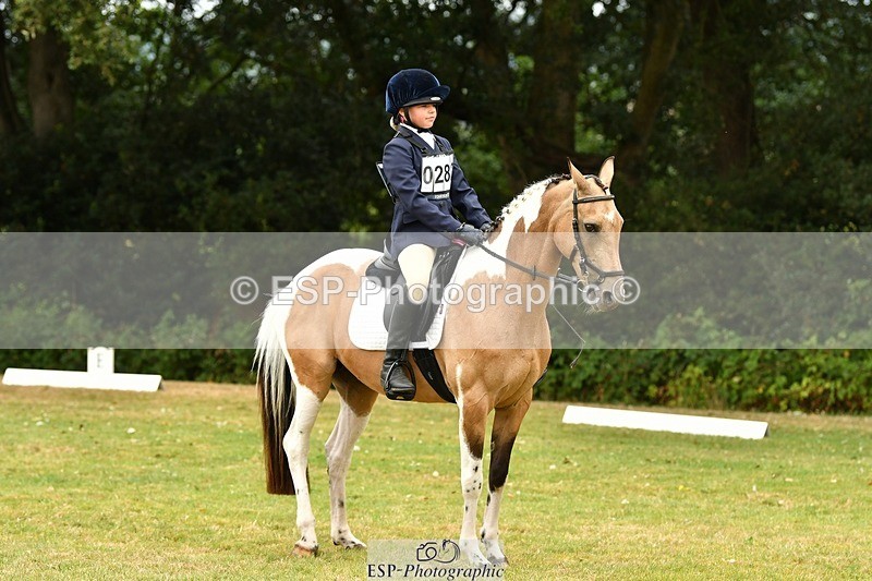 250820A-125243-05682 - 12 to 13.00