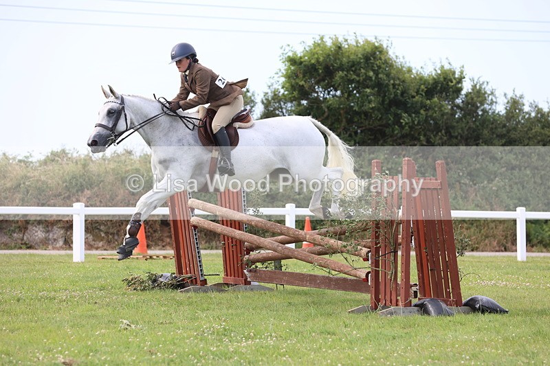 JPP_4174 - Class 25: Working Show Horse