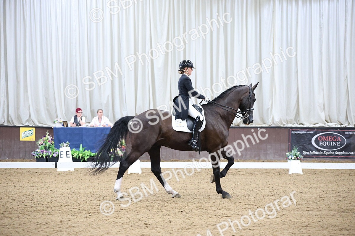SBM_004679 - Class 9 - FEI Inter 1 Gold - 16.59-17.47