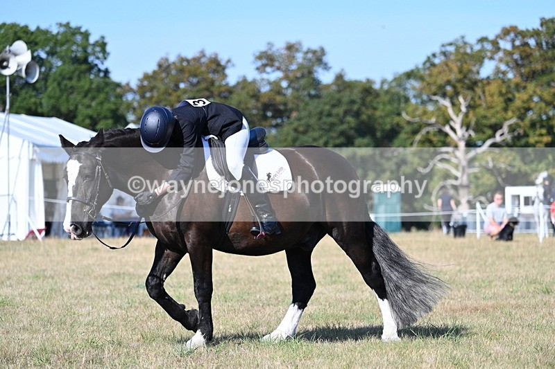 WJ7_9175 - Time 09:27 to 10:03