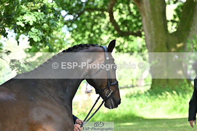 250521A-155003-00791 - B-372-Stephen.Heal-HISCO