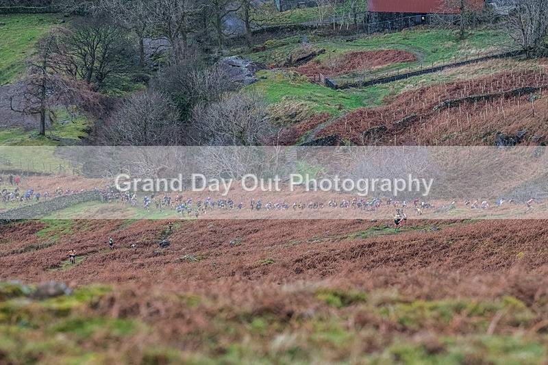 Stybarrow Dodd-65 - Kong Running Stybarrow Dodd Fell Race Saturday 29th November 2025