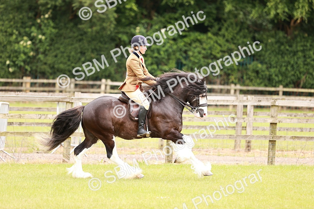 SBM_06193 - Class 39-41 TGCA In Hand and Ridden