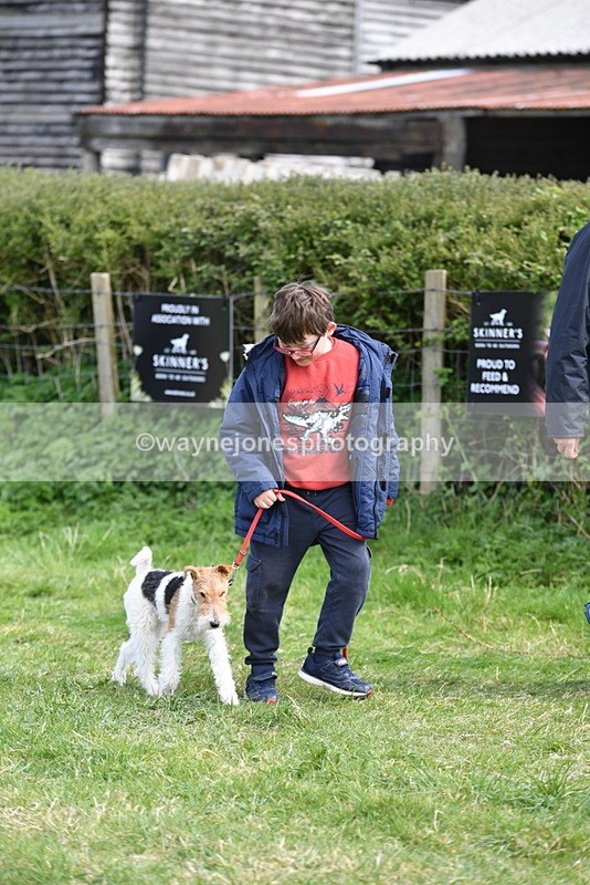 WJ5_0755 - Best in Show Championship