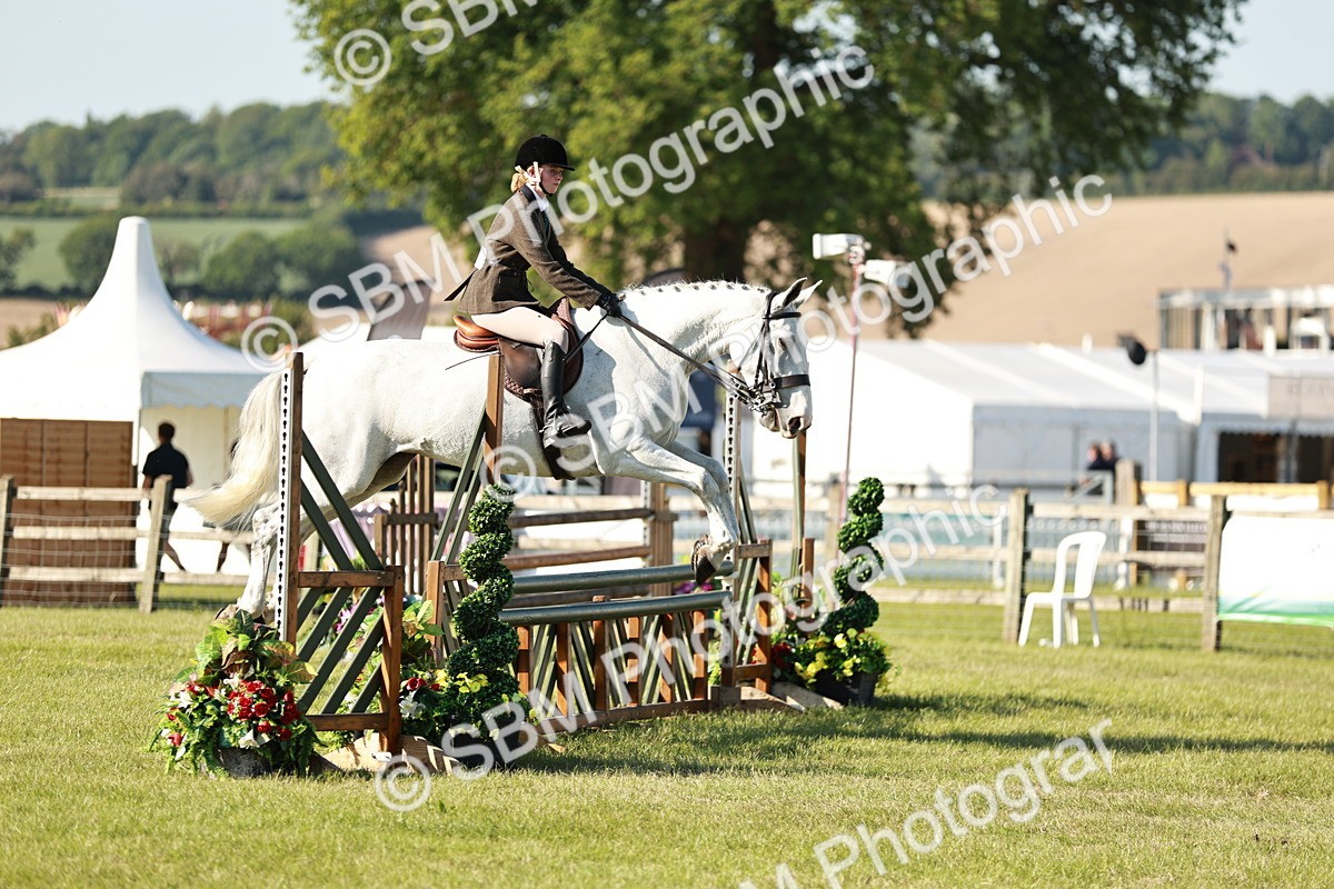 SBM_19930 - Class 115-116 - LIHS BSHA Rising Star Working Hunter & Show Horse