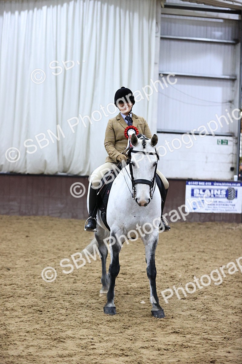 SBM_6393 - Class 45-42 - Ridden Irish Breeds-Ridden Cob
