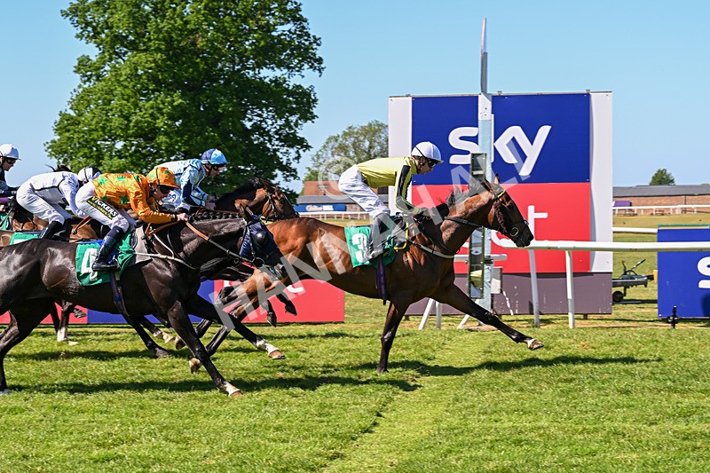 170525-Race 4-Hallelujah U-8332 - Race 4