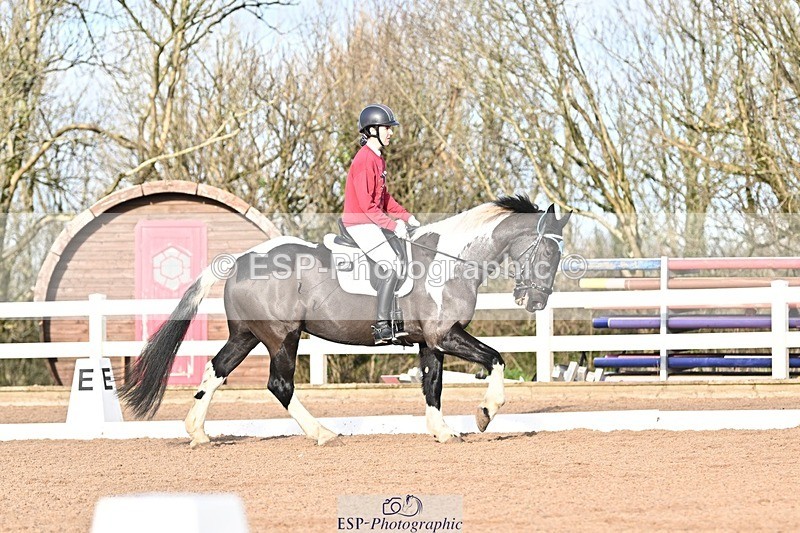 241214-112627-01399 - 130-Alys.Matravers-Tiger.Mazariti