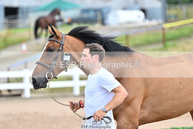 240718A-105308-01617 - Trot Up 1pm to 2pm