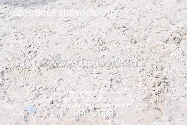 BPP_7589 - RING 1  (RIDDEN HORSES / IN HAND / VETERAN ETC)