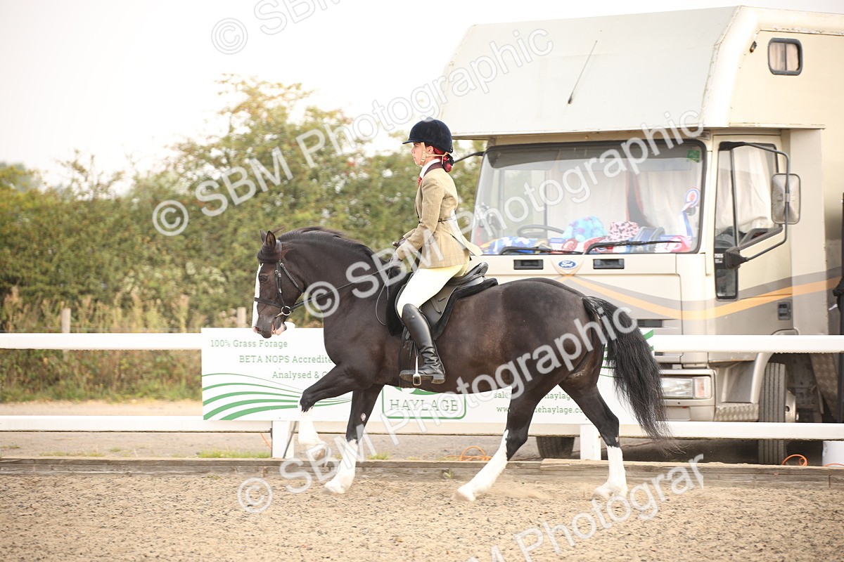 SBM_09716 - Class 401 Riding Club Pony