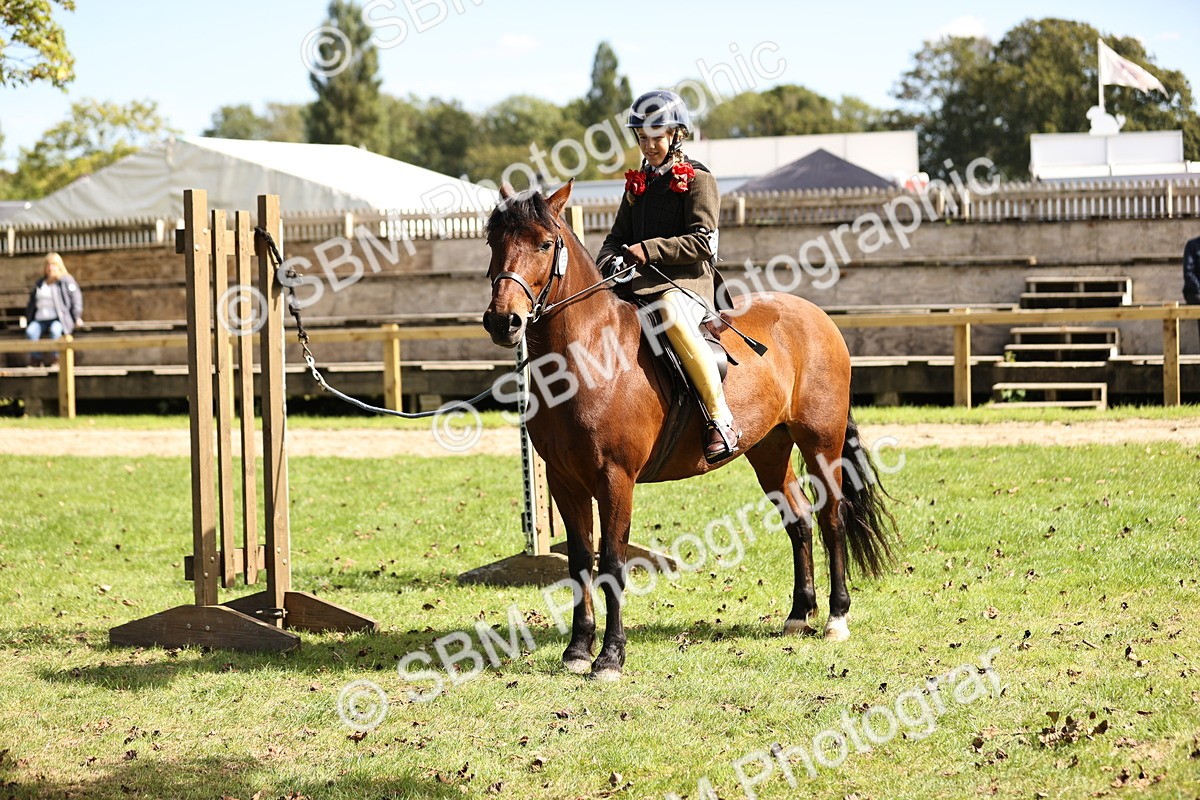 SBM_22903 - S4 - Have a Go at Working Equitation