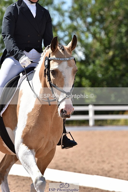 240706A-145918-03359 - Cls 4C Snr Novice 23