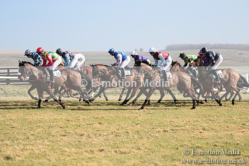 PtP 230219 57 - Vine & Craven Point-To-Point - Barbury 23/02/19