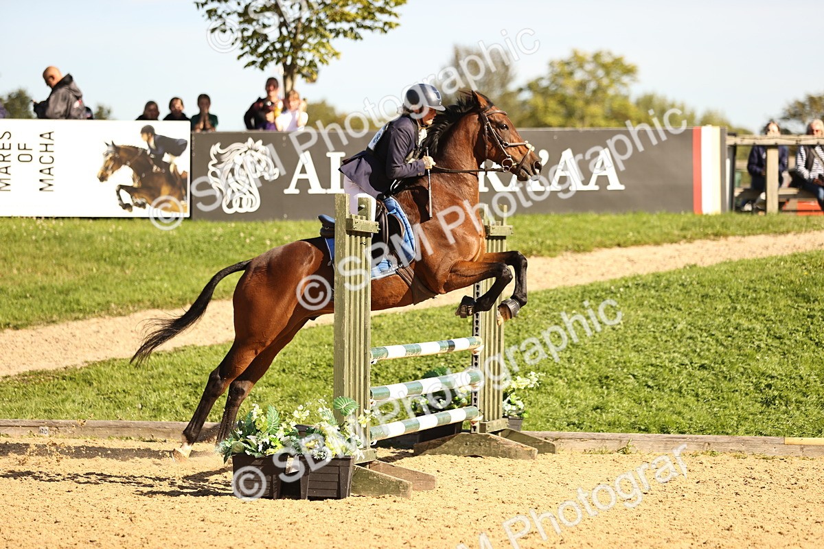 SBM_38132 - J39 - Senior 85cm Championship