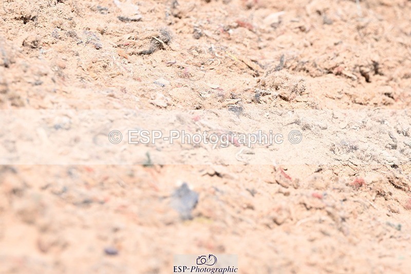 250514-120426-00295 - National 1.05m Open