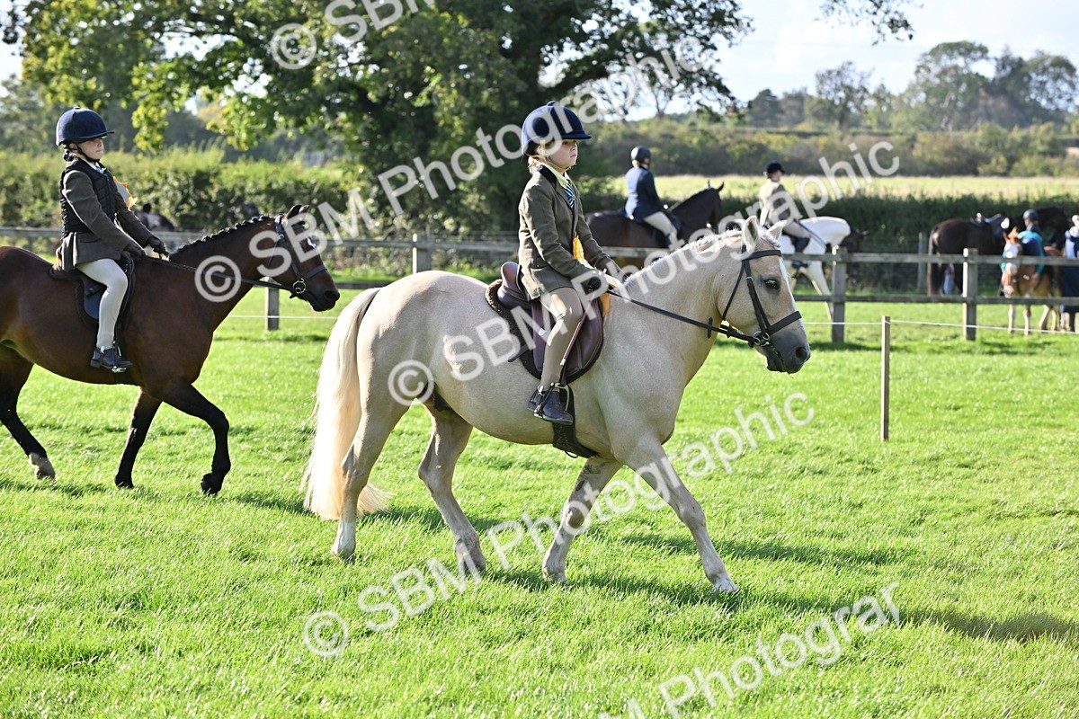 SBM_51302 - S22 - First Ridden show and show Hunter Pony
