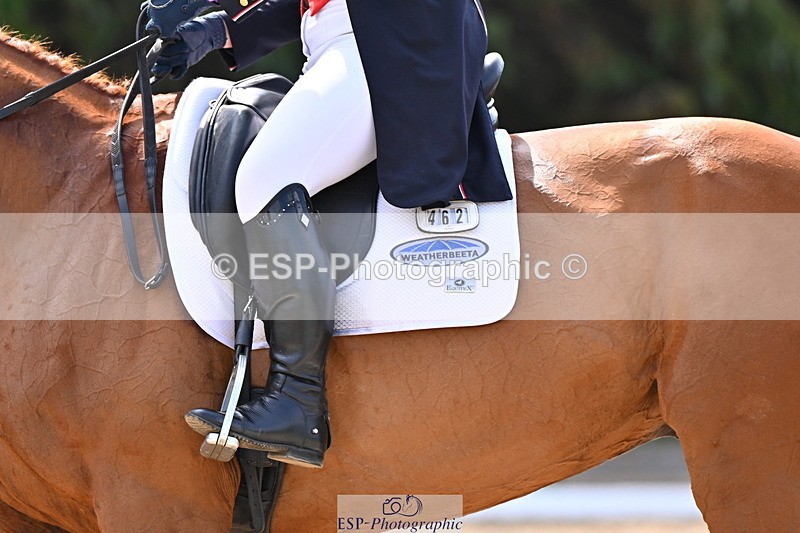 250523A-103124-05706 - D-462-Gemma.Stevens-CHILLI.KING