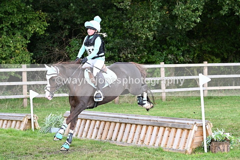WJ7_8331 - 60cm Time 12:11 to 12:30