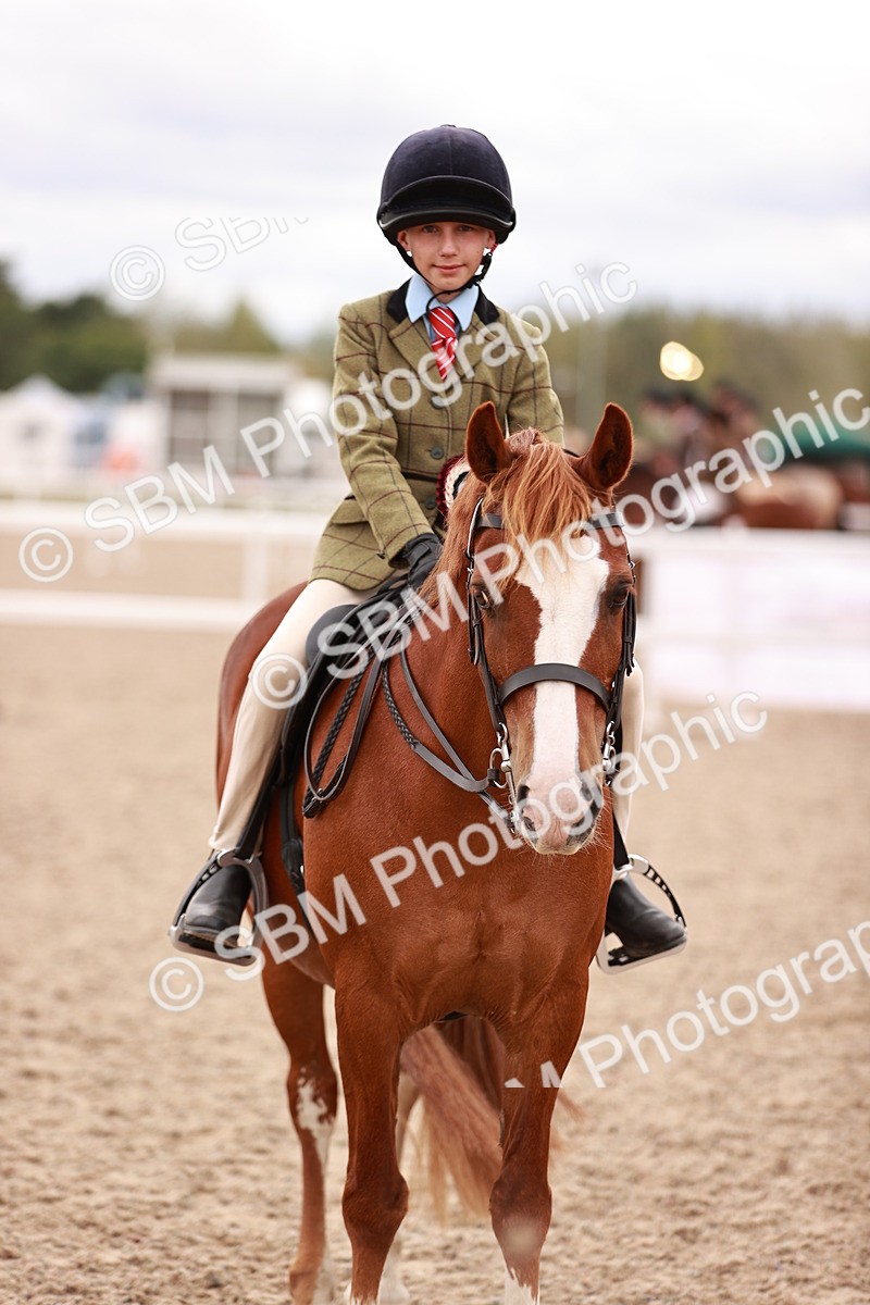 SBM_18626 - Class 421 - Childs Best Friend - Jnr