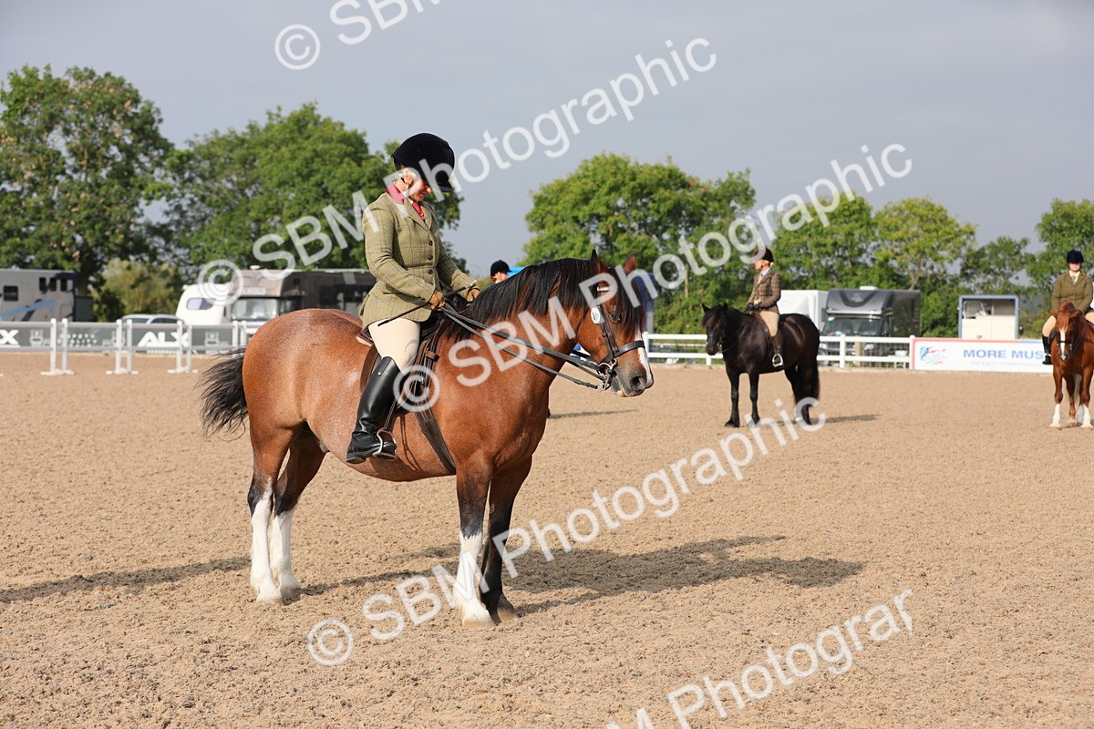 SBM_10095 - Class 302 Ridden M&M -Large Breeds