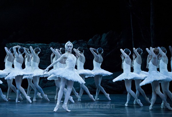  - Swan Lake